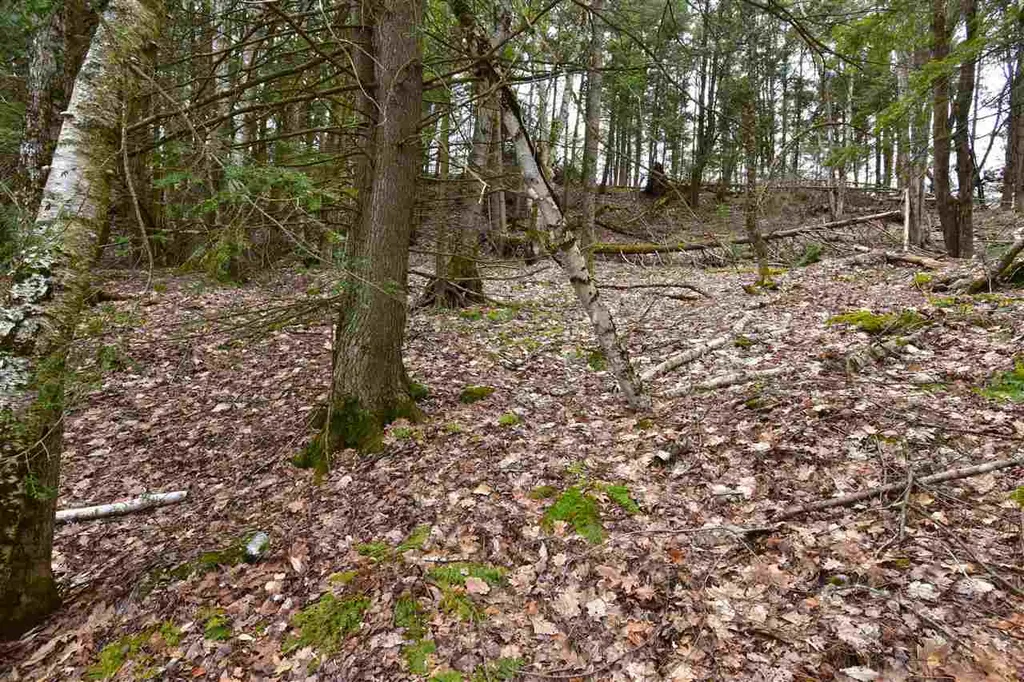 0 Lake Morey Road Bradford VT 05033