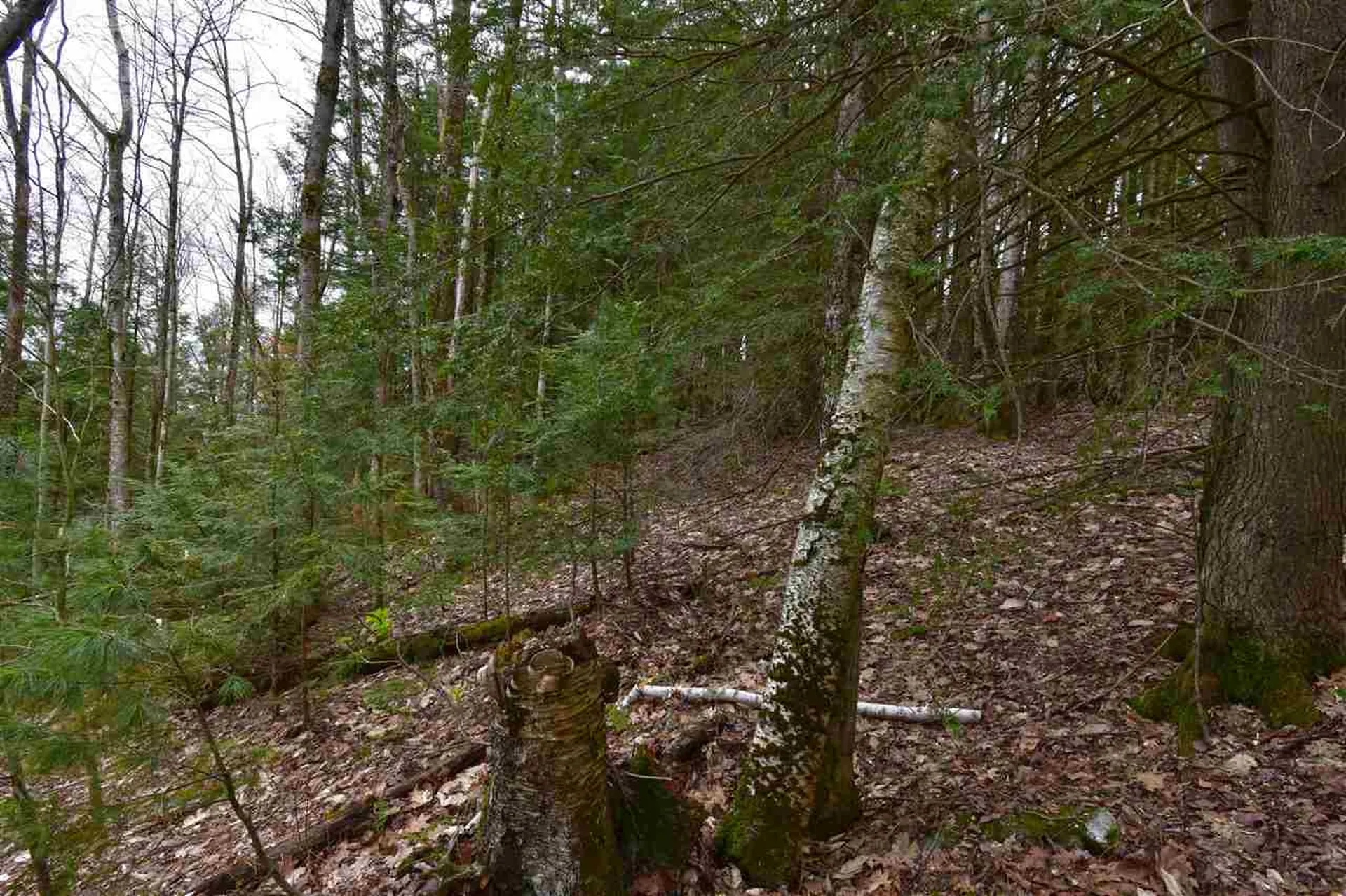 0 Lake Morey Road Bradford VT 05033