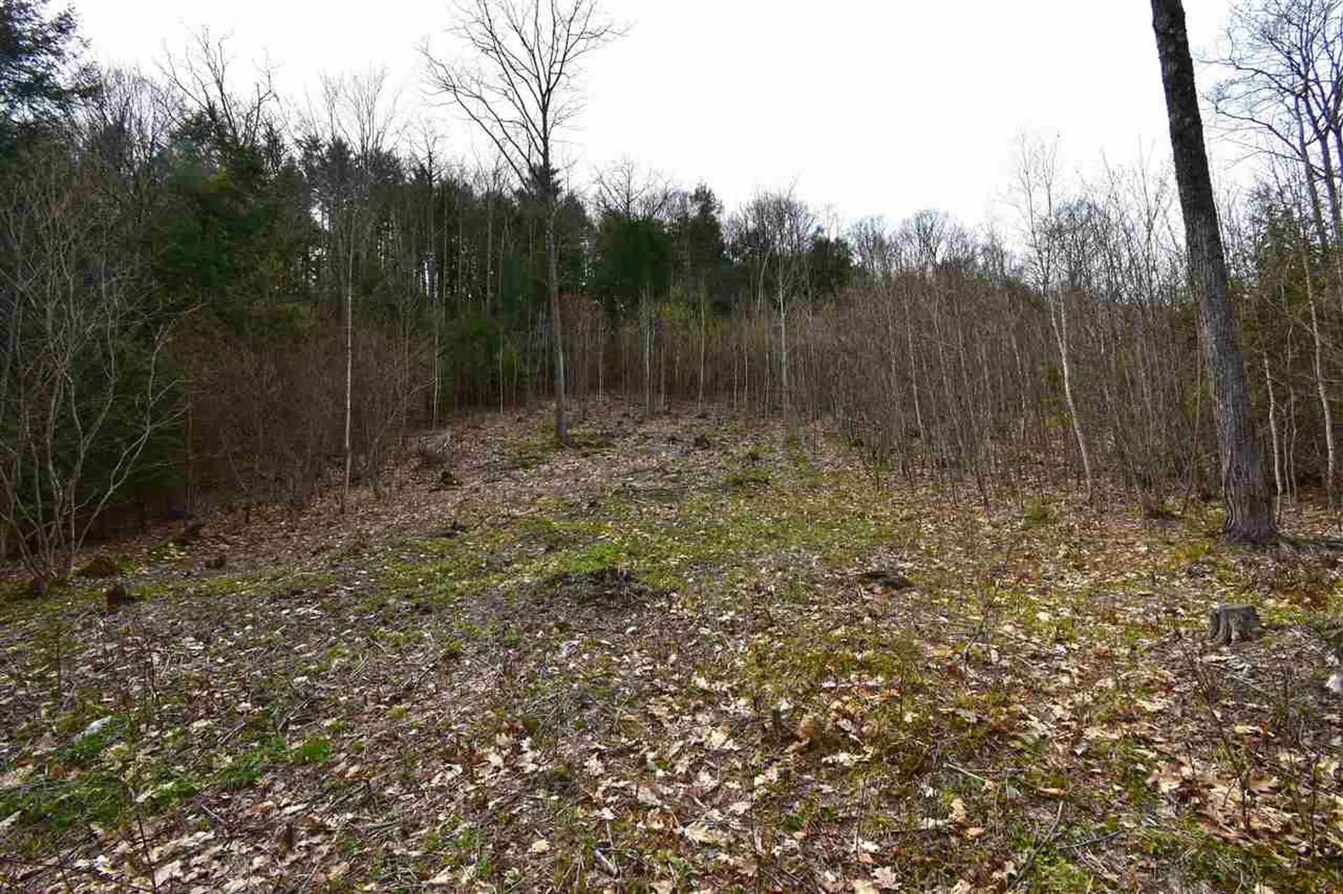 0 Lake Morey Road Bradford VT 05033
