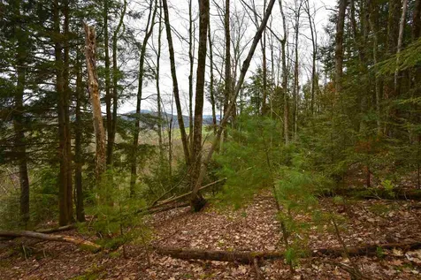 0 Lake Morey Road Bradford VT 05033