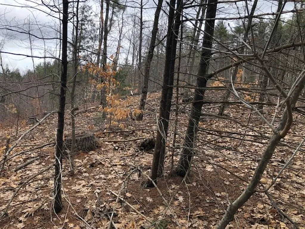 0 Contoocook Falls Road Hillsborough NH 03244