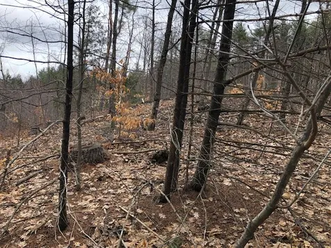 0 Contoocook Falls Road Hillsborough NH 03244