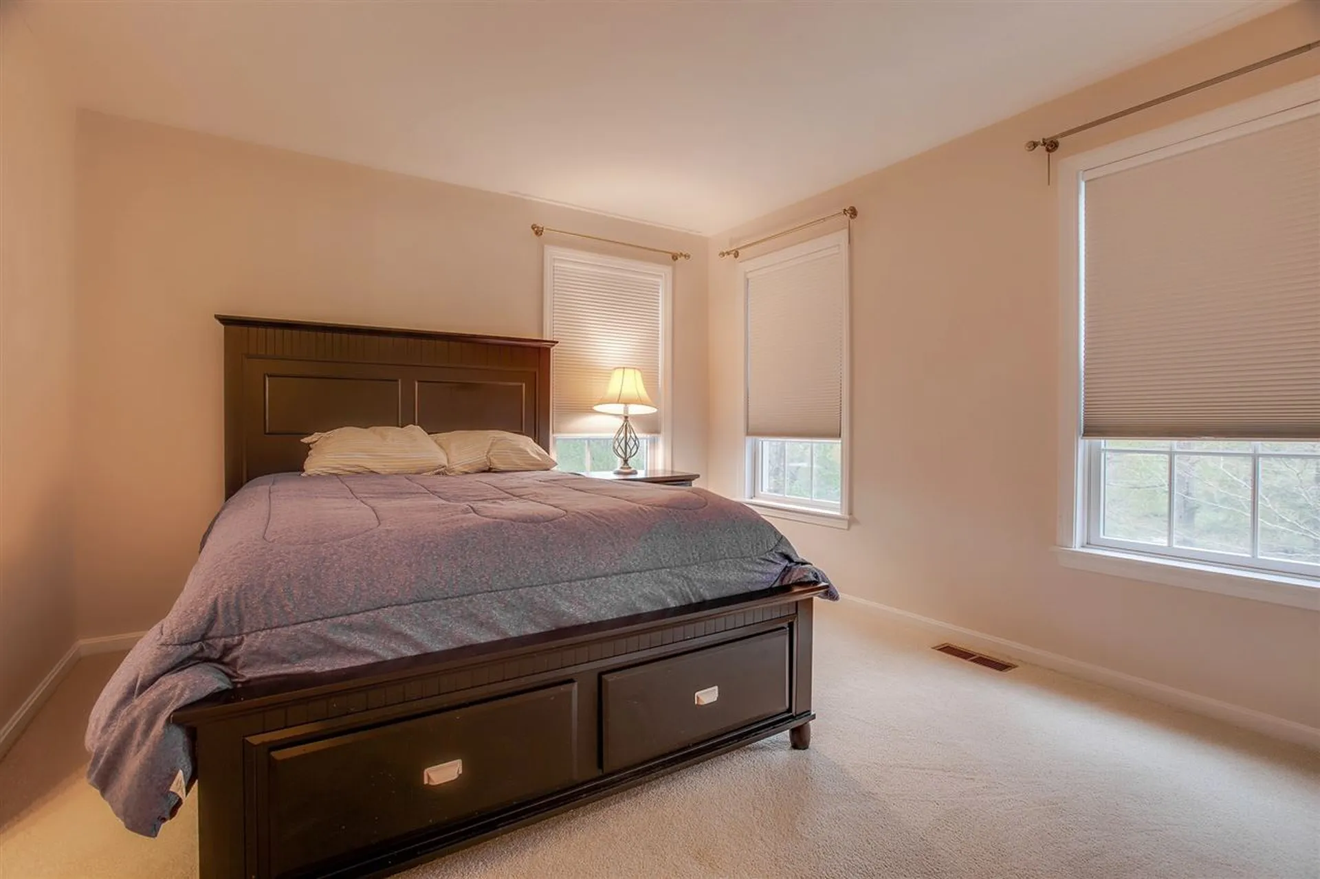 20 Deerwood Drive Wilmot NH 03287