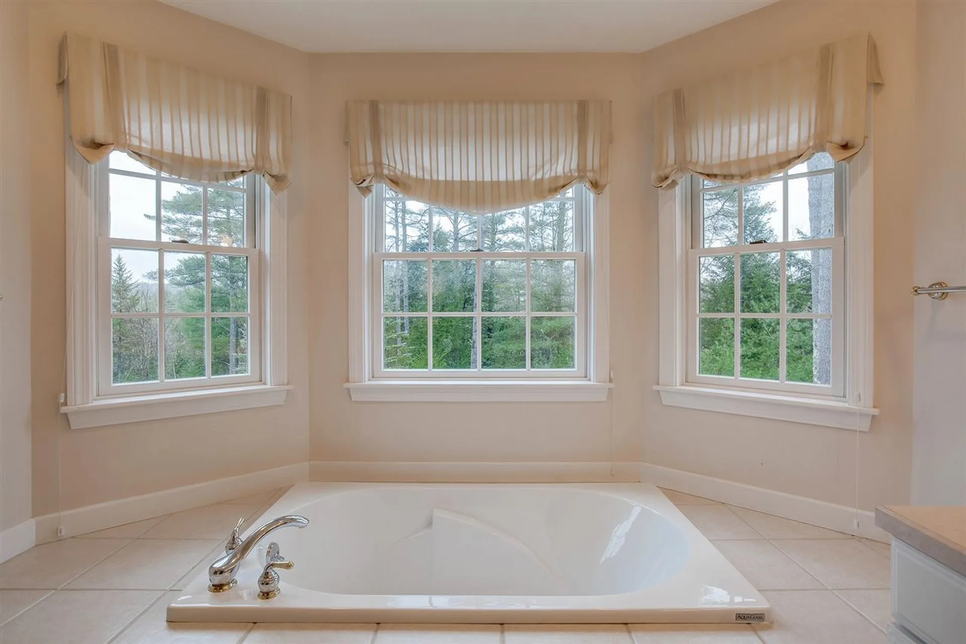 20 Deerwood Drive Wilmot NH 03287