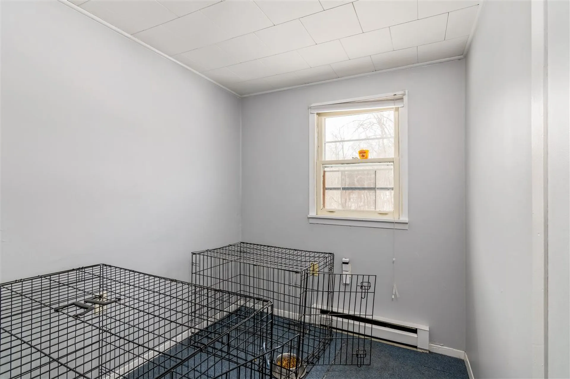 234 Prim Road Colchester VT 05446