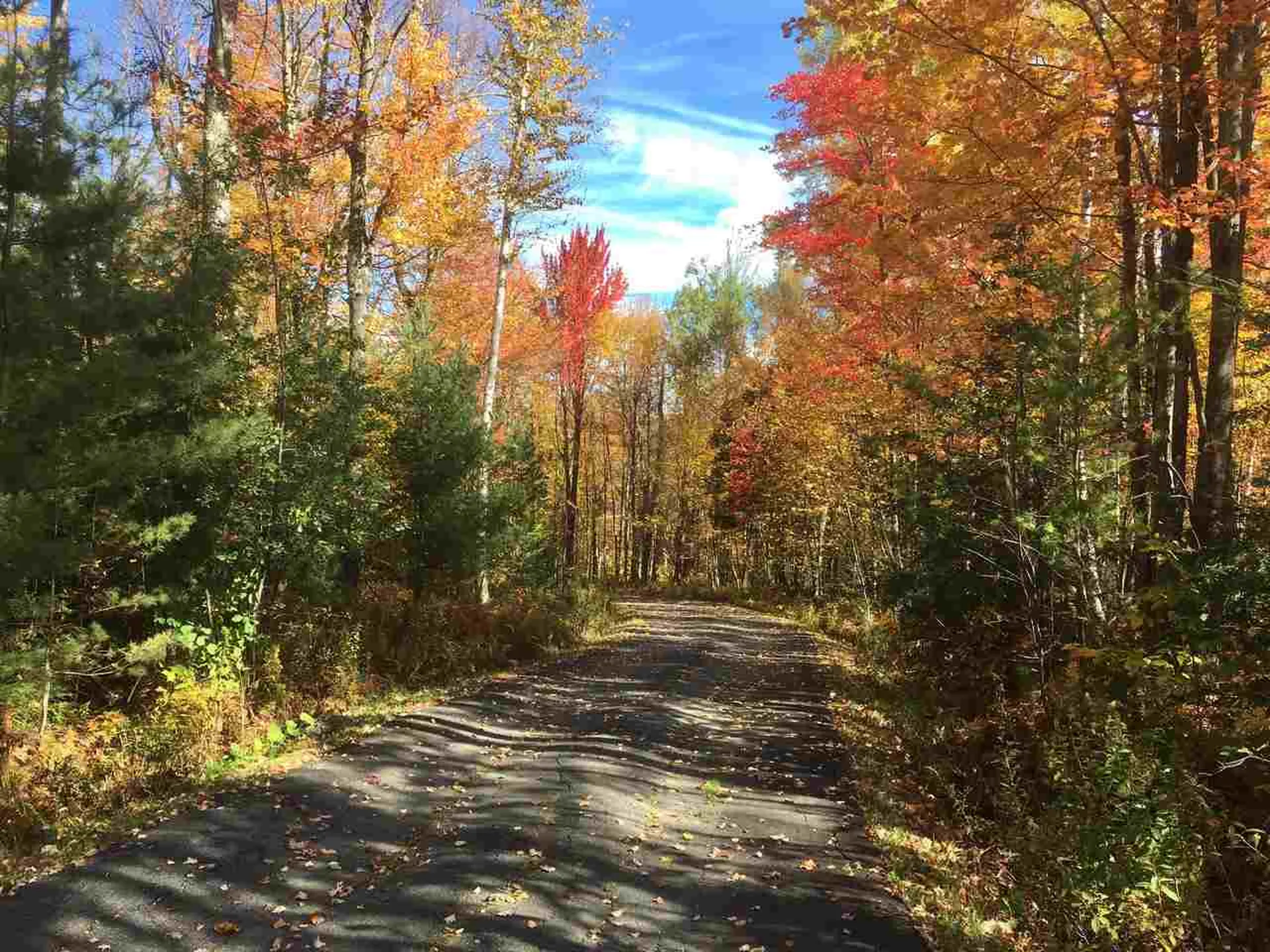 2421 Ames Hill Road Marlboro VT 05344