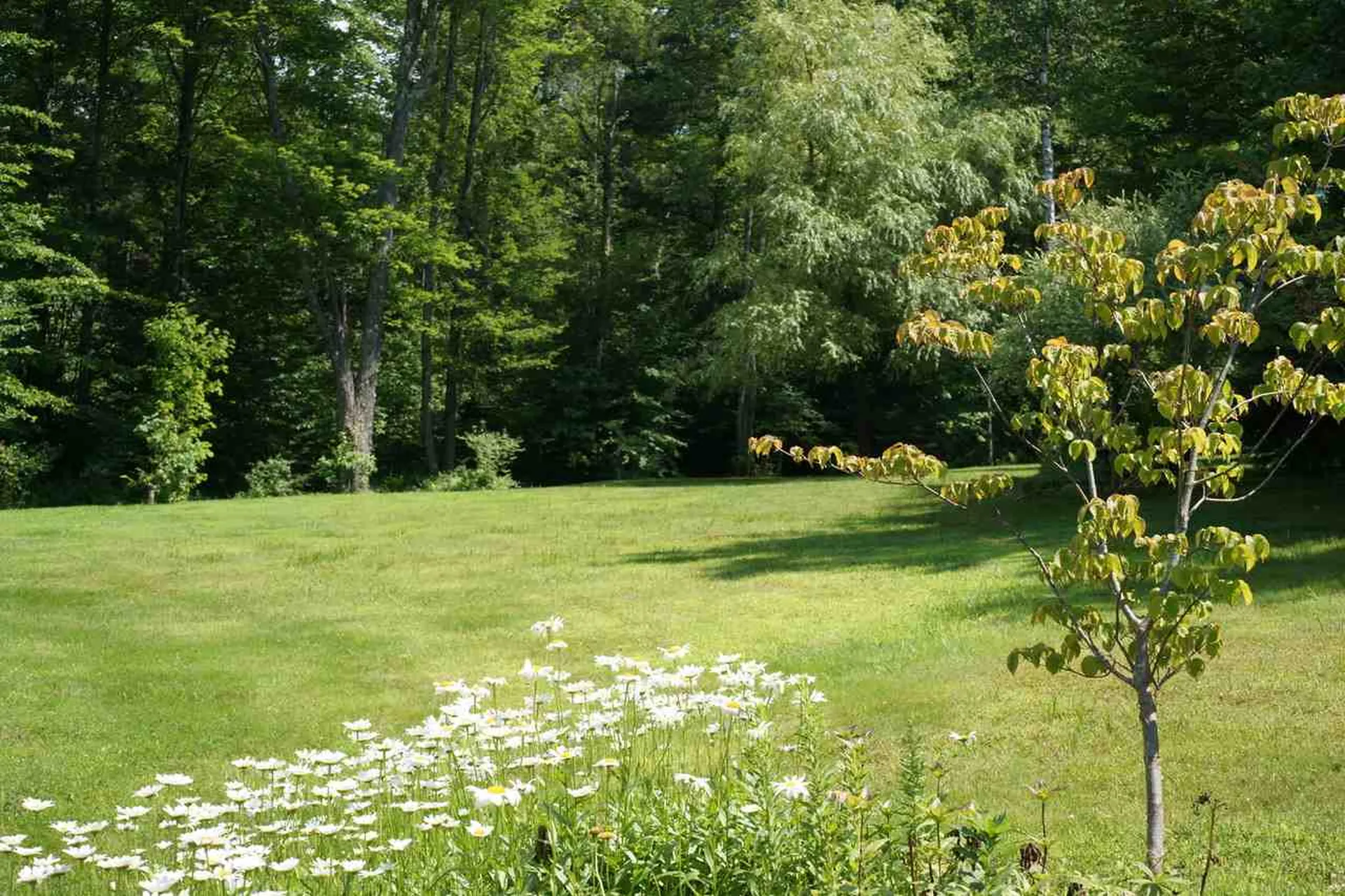 2421 Ames Hill Road Marlboro VT 05344