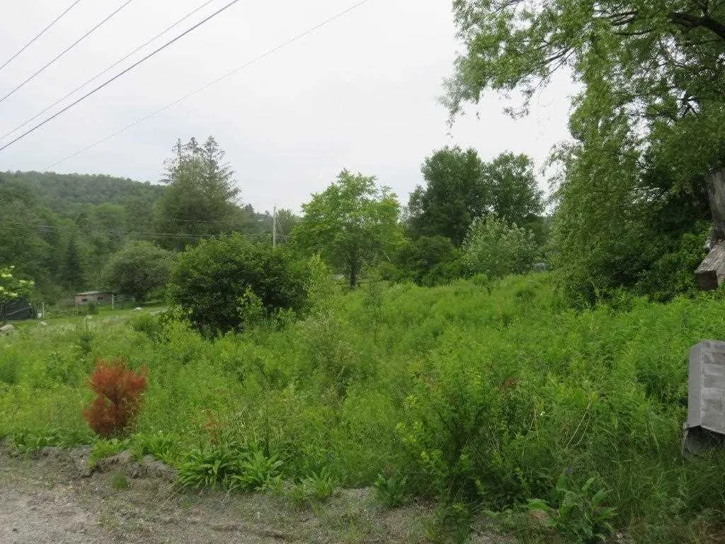 5 Overlook Way Canaan NH 03741