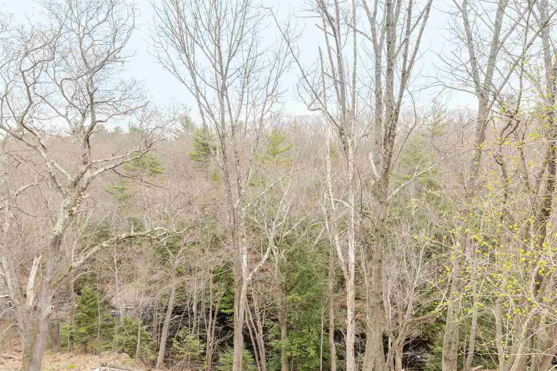 35 Charles Street Milton NH 03851-0000