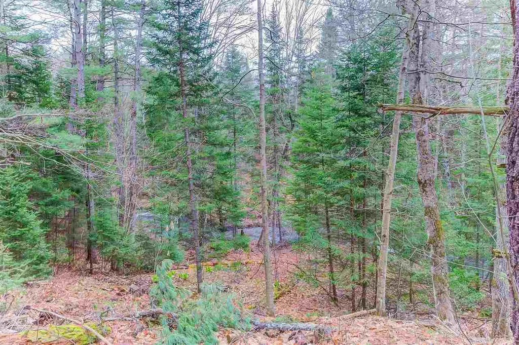 55 Whipple Brook Crossing Lisbon NH 03585