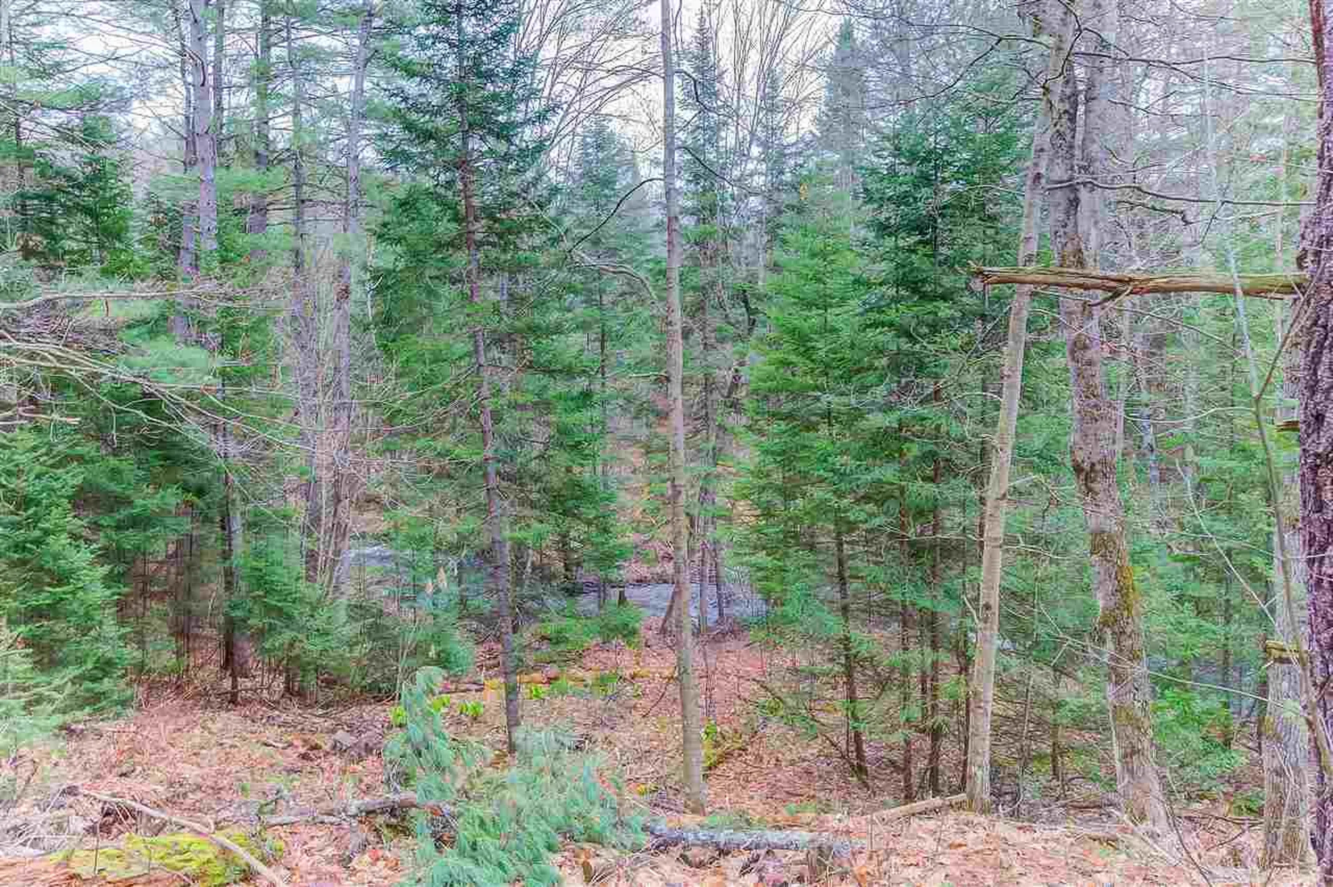 55 Whipple Brook Crossing Lisbon NH 03585