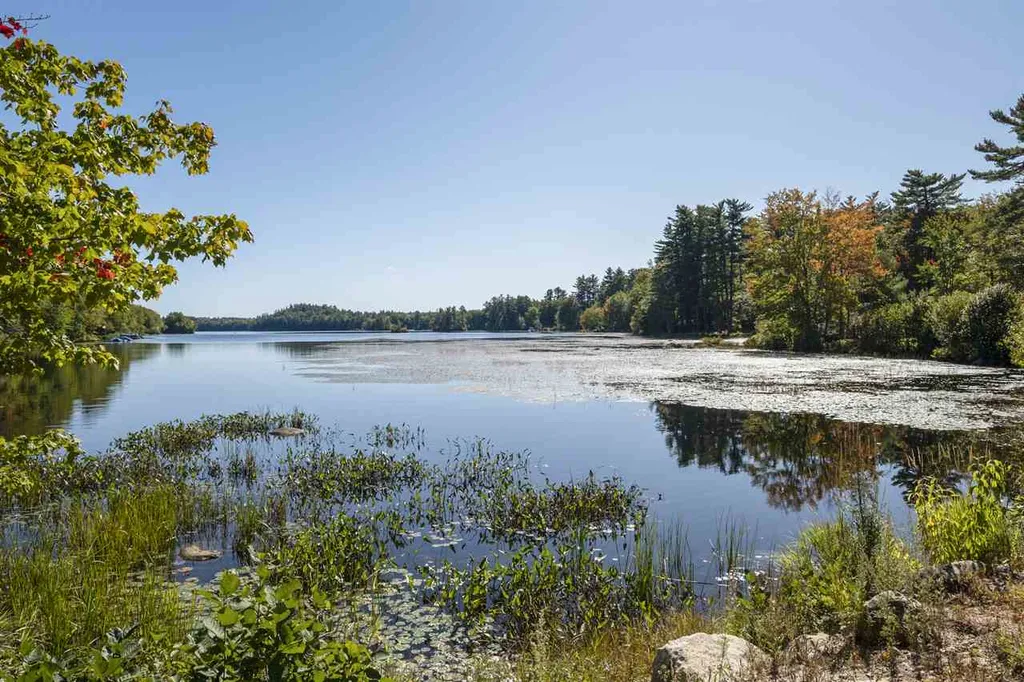 378 Young Road Barrington NH 03825