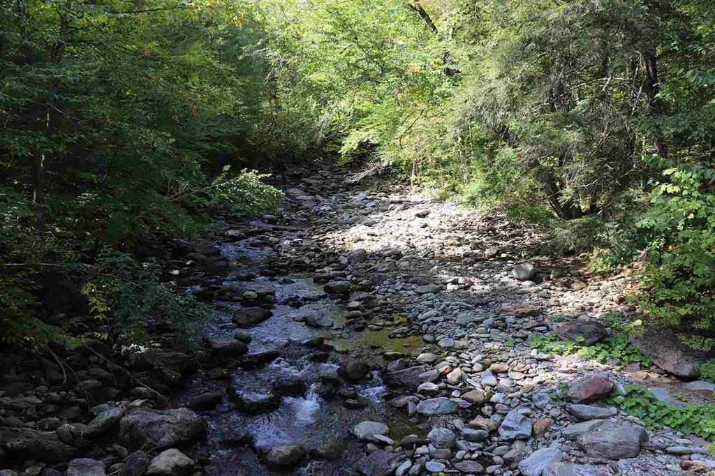 83 Miller Brook Lane Stowe VT 05672