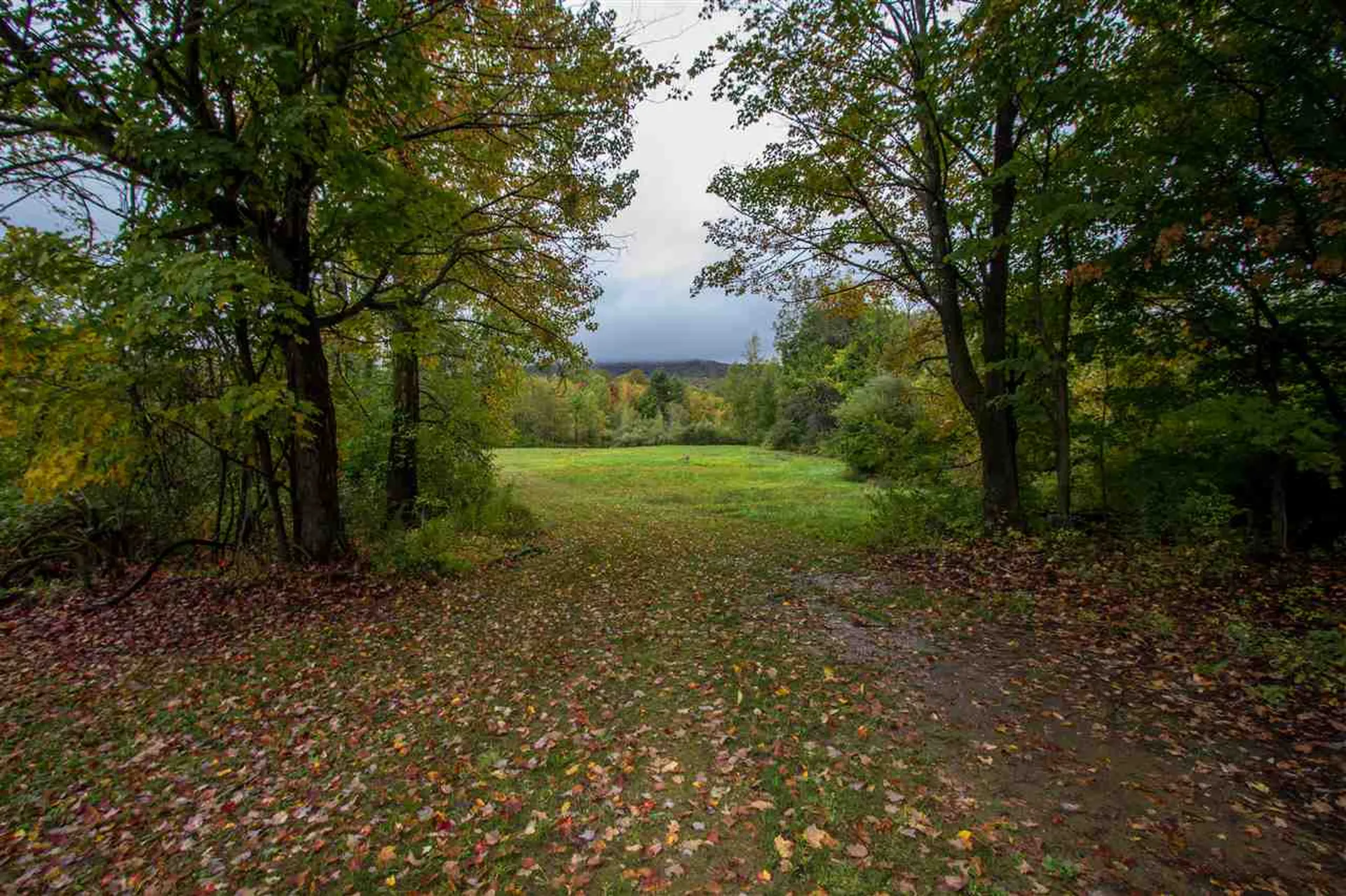 45 Orr Road Jericho VT 05465