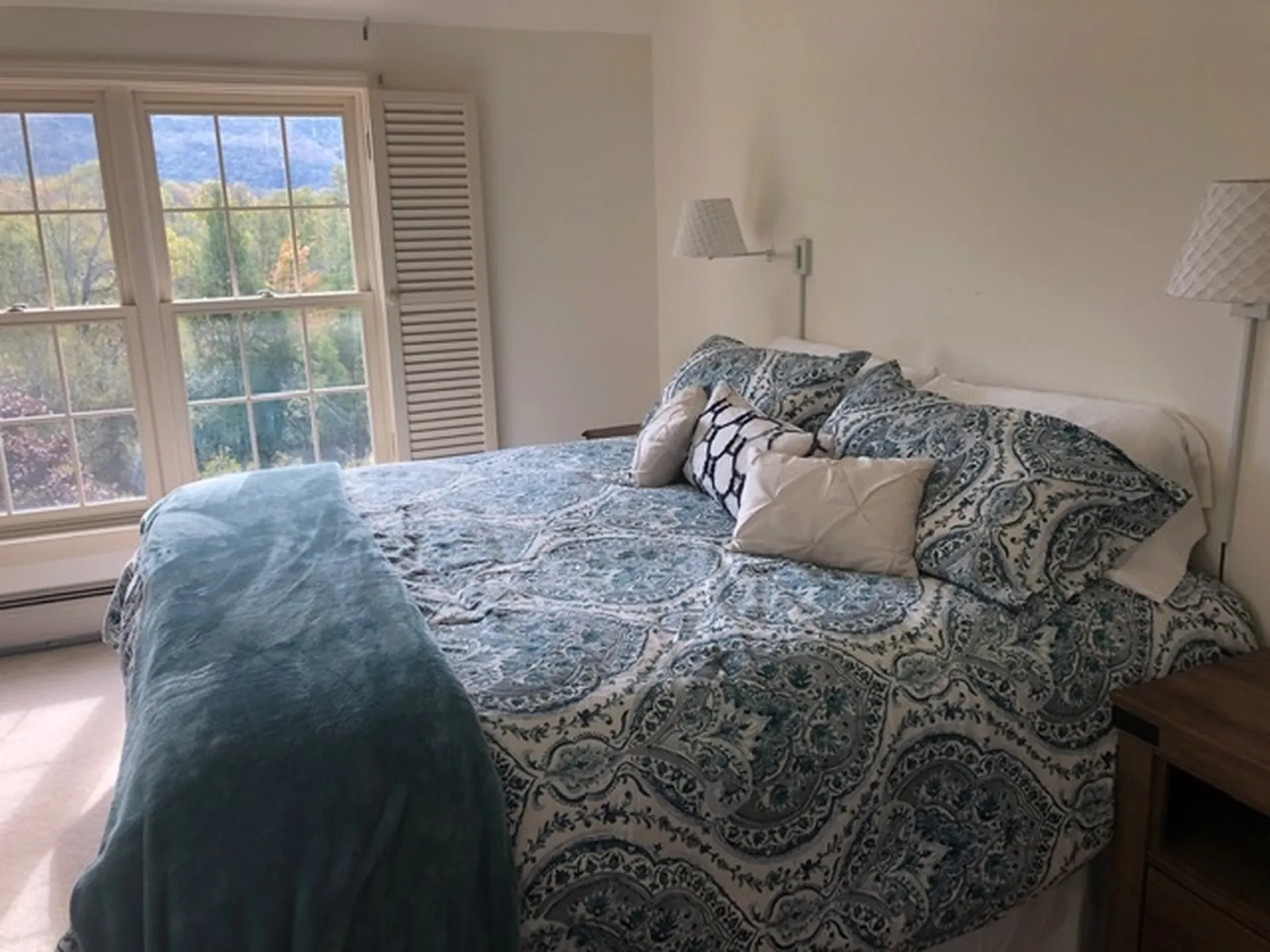 212 Ormsby Hill Road Manchester VT 05254