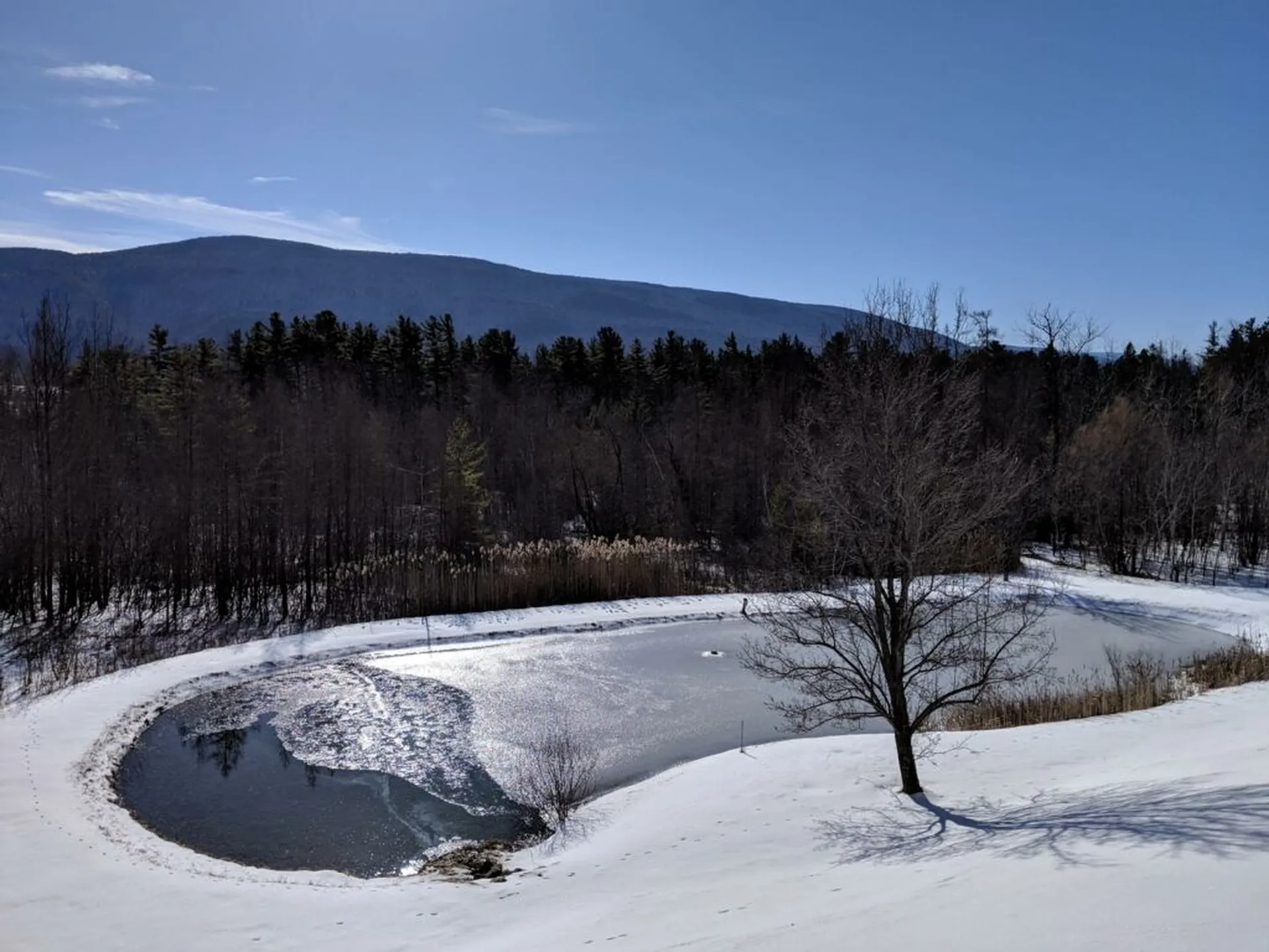 212 Ormsby Hill Road Manchester VT 05254