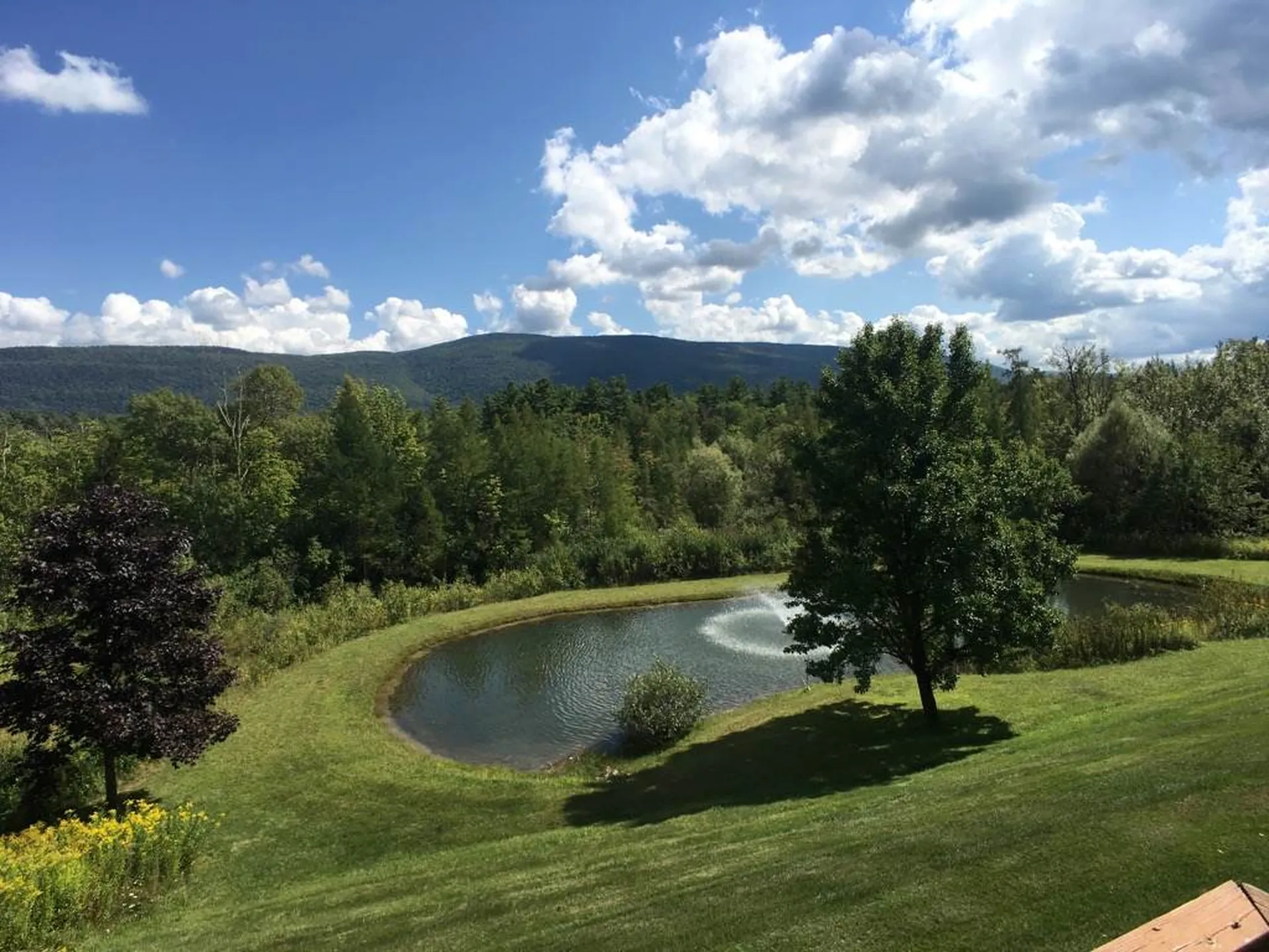 212 Ormsby Hill Road Manchester VT 05254