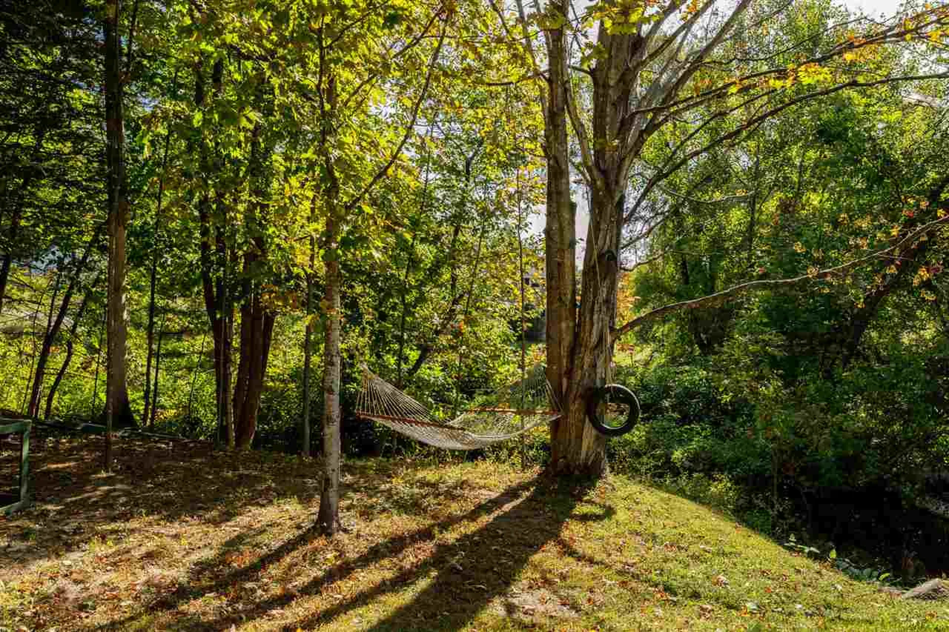 55 Beach Pond Road Wolfeboro NH 03894