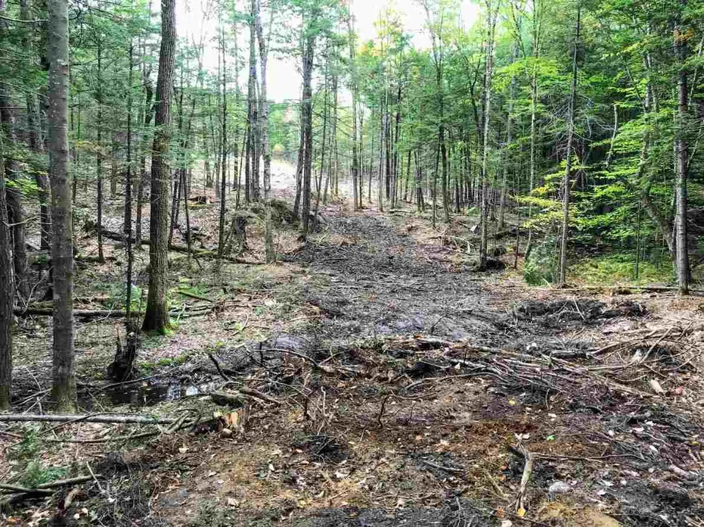 96 Seven Pines Road Holderness NH 03245