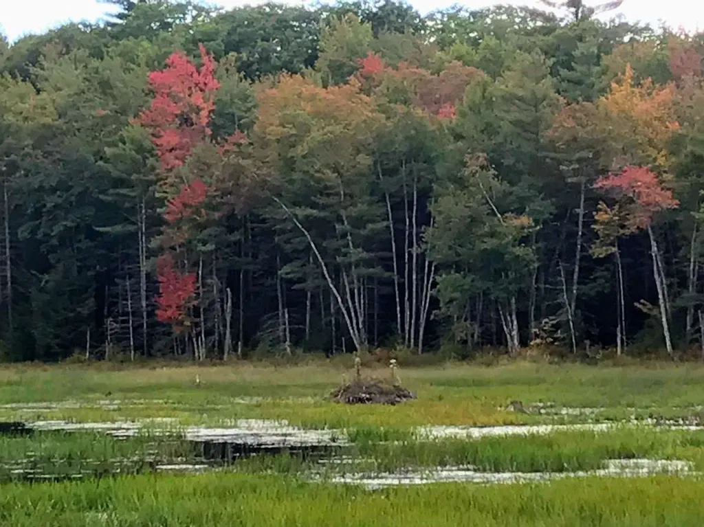 96 Seven Pines Road Holderness NH 03245