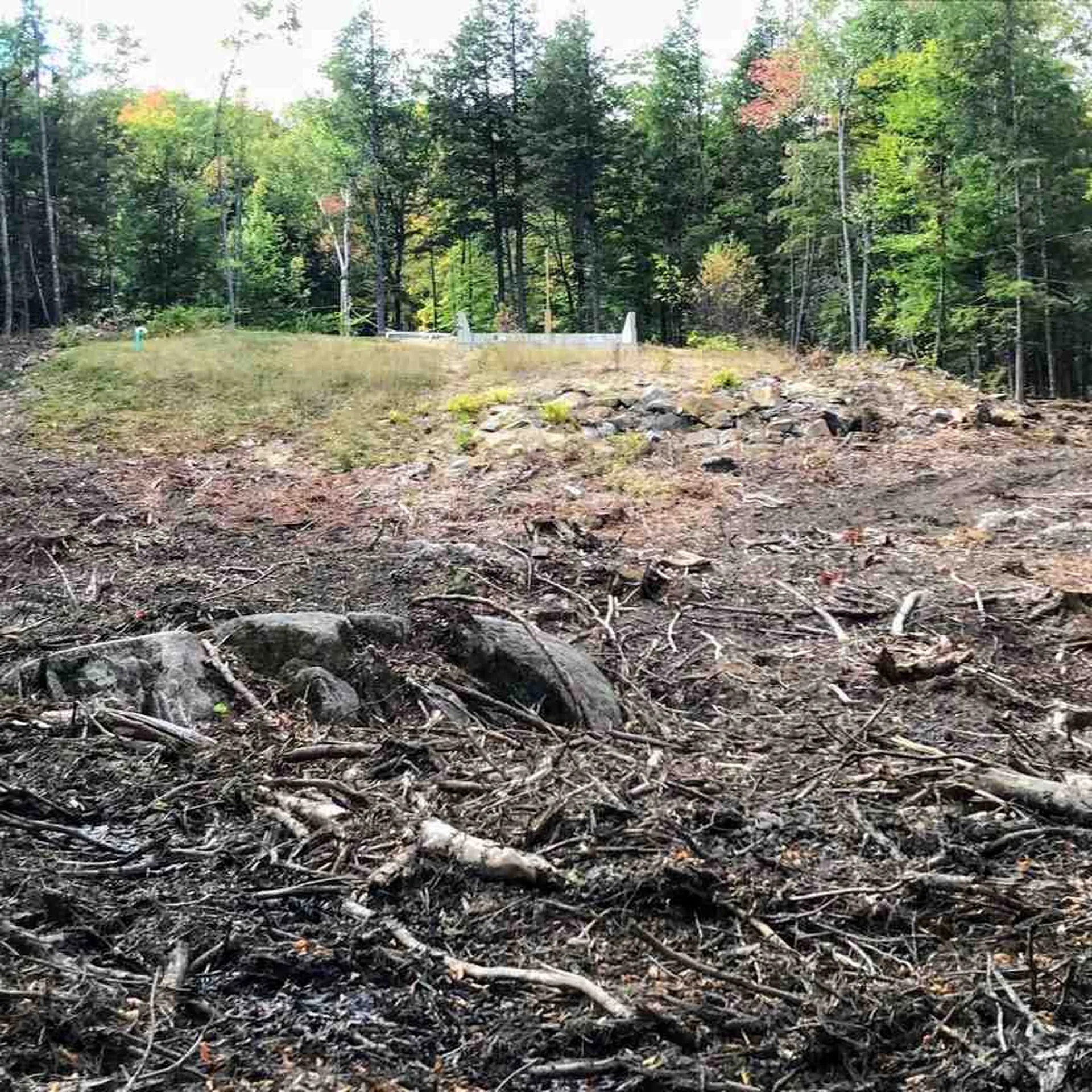 96 Seven Pines Road Holderness NH 03245