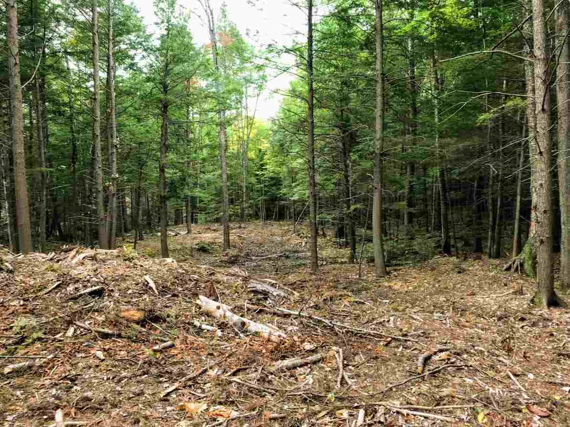 96 Seven Pines Road Holderness NH 03245