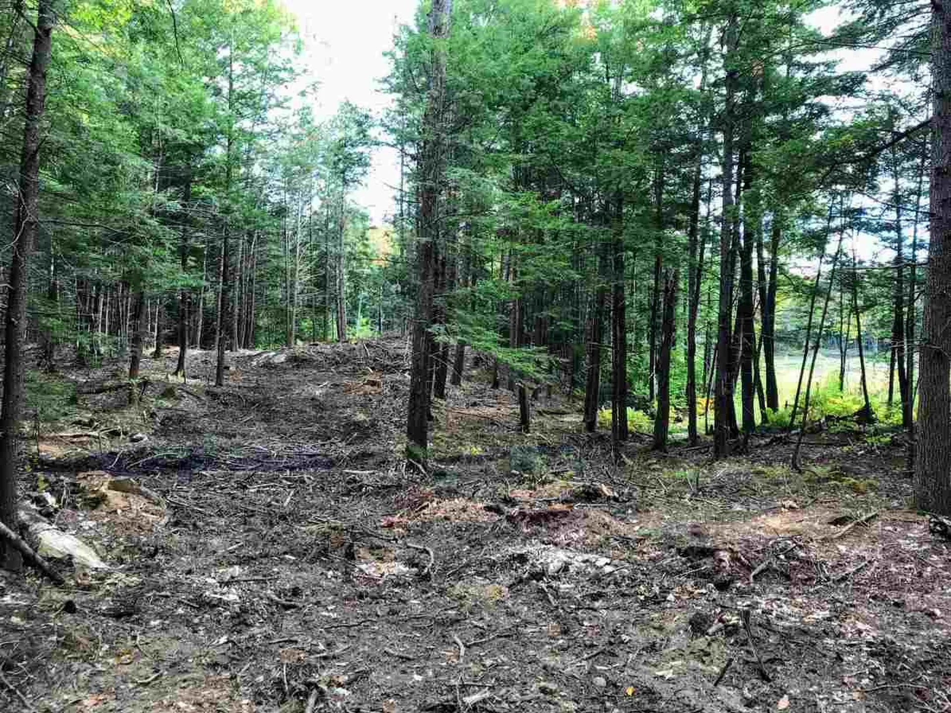 96 Seven Pines Road Holderness NH 03245
