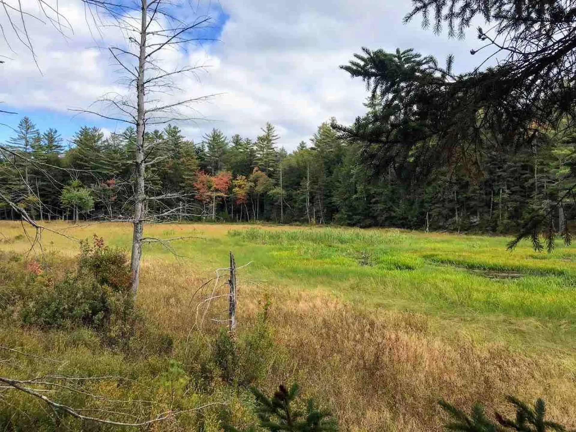 96 Seven Pines Road Holderness NH 03245