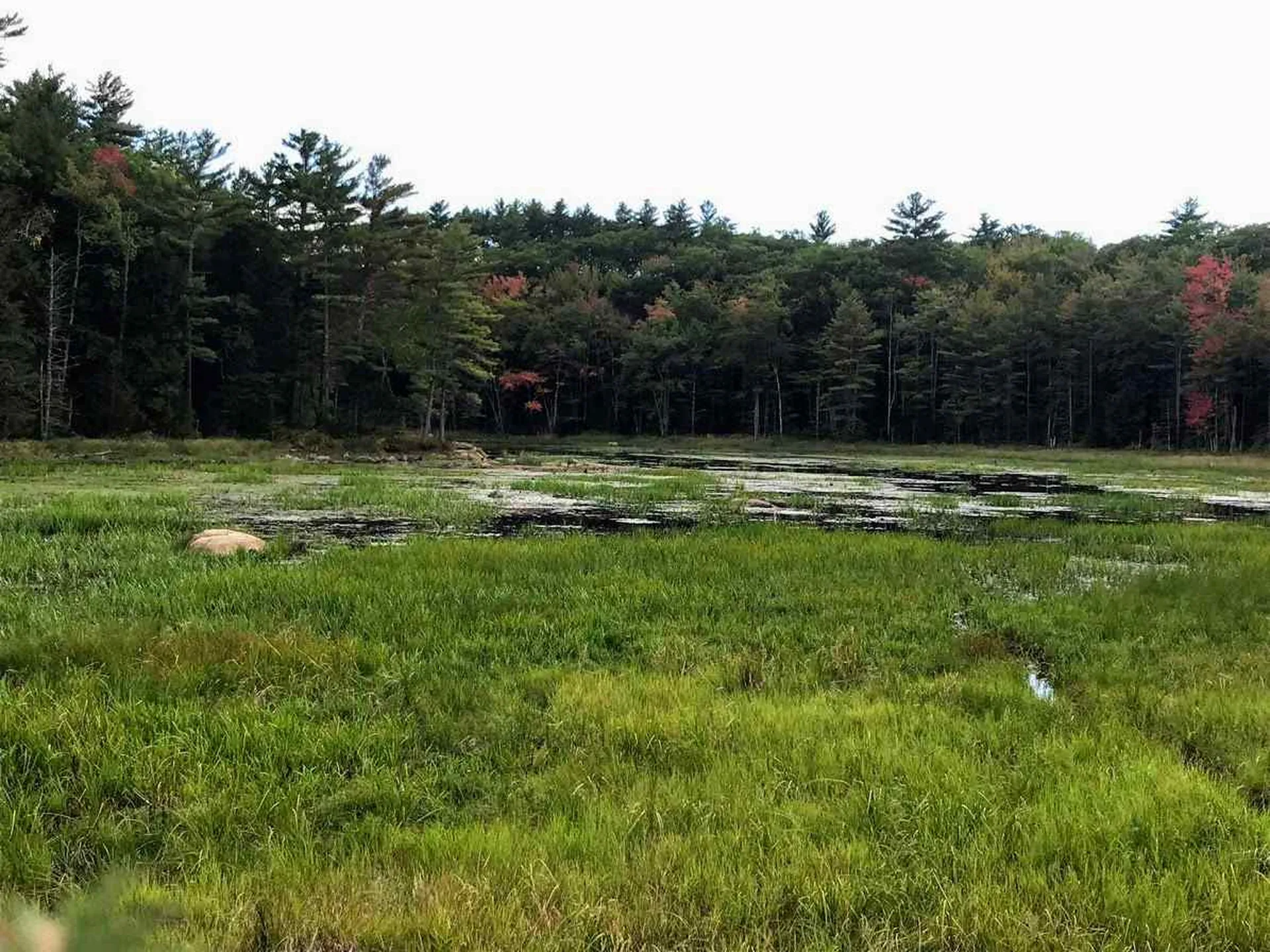 96 Seven Pines Road Holderness NH 03245