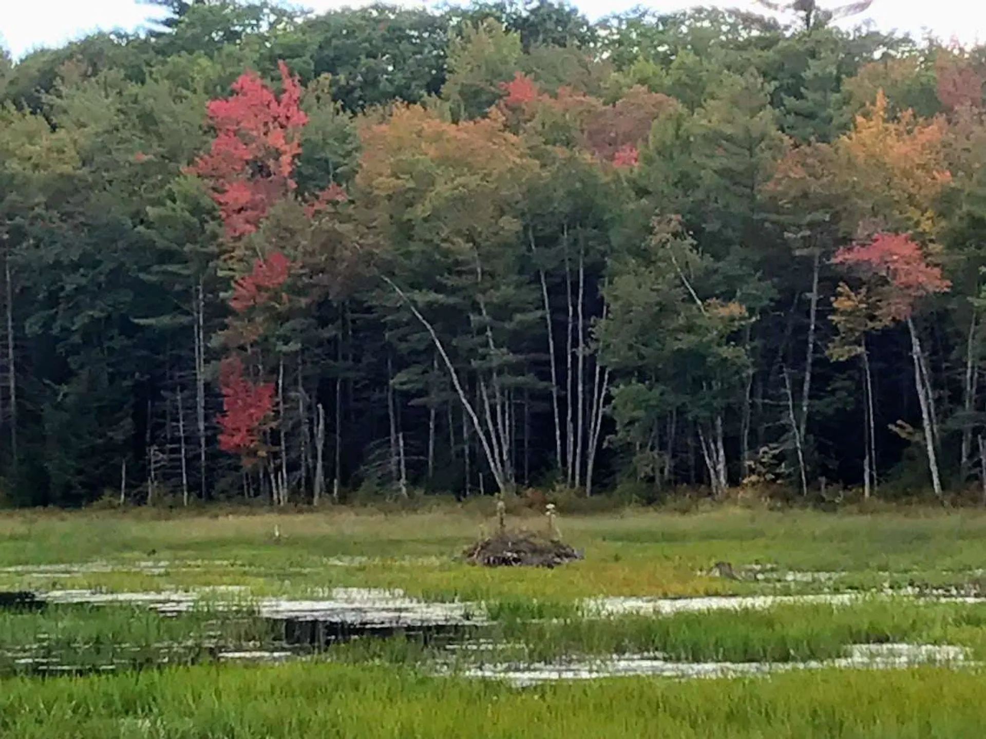 96 Seven Pines Road Holderness NH 03245