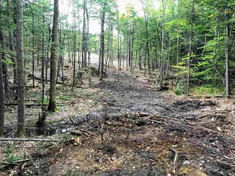 96 Seven Pines Road Holderness NH 03245