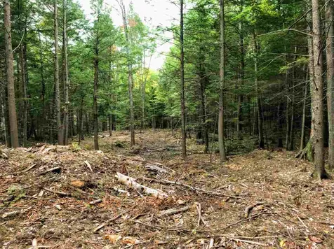 96 Seven Pines Road Holderness NH 03245