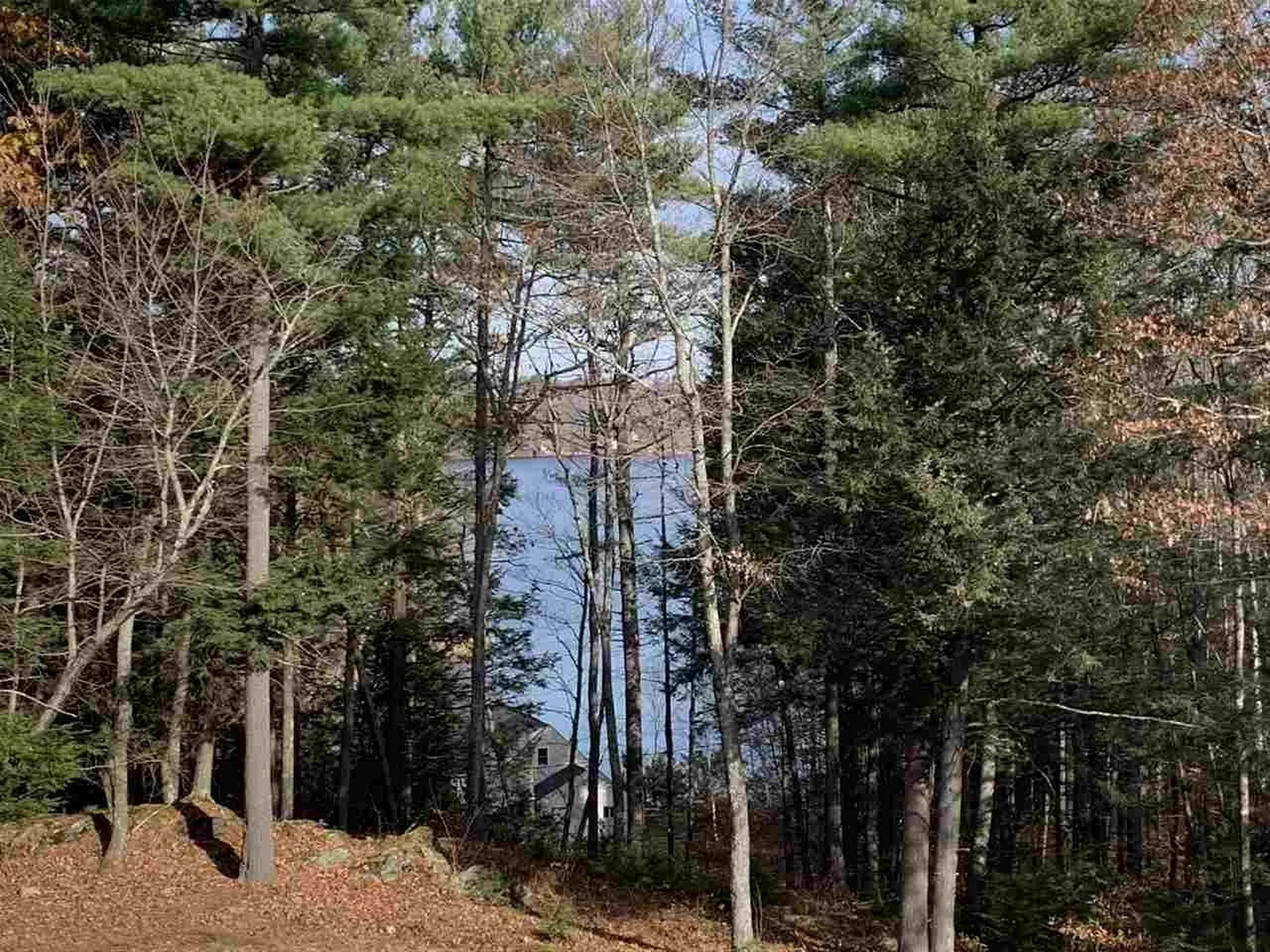 19 Kessler Way Barrington NH 03825