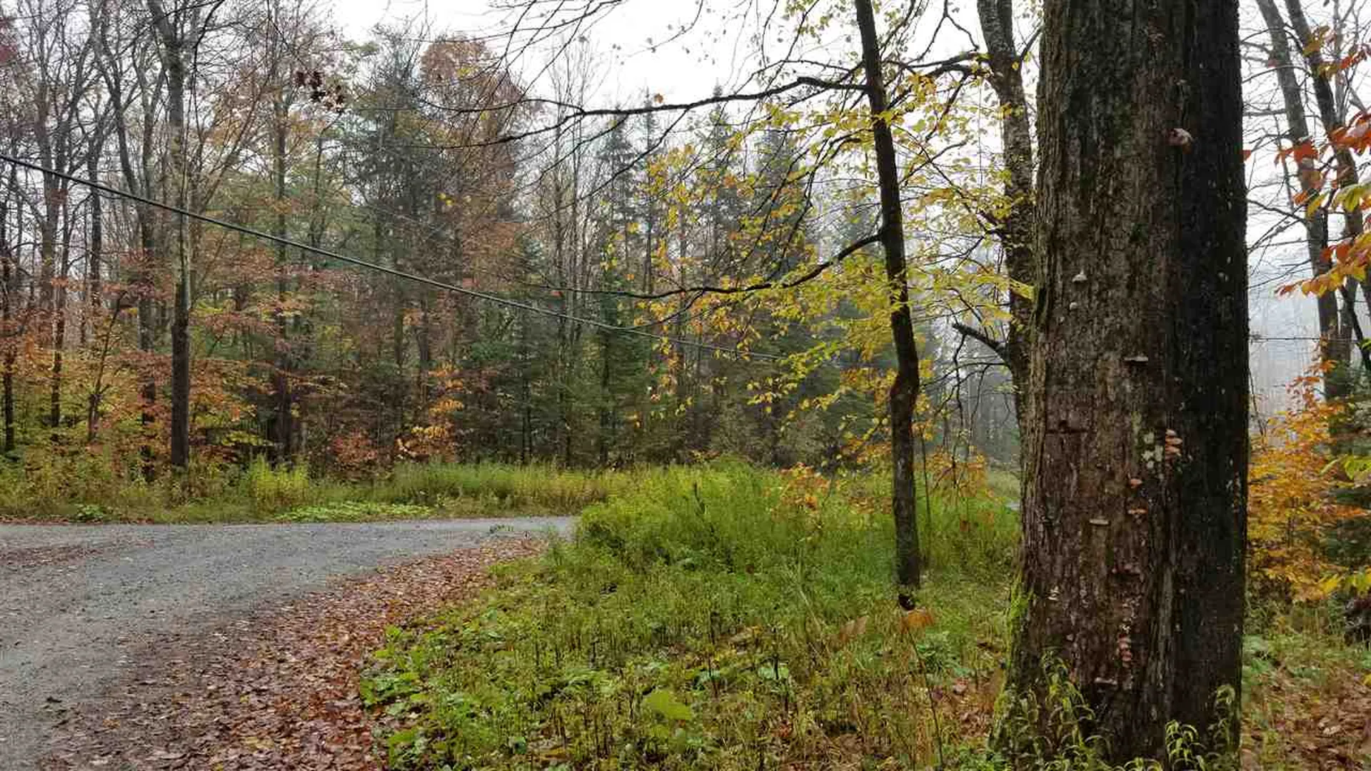 115 Oberdorf Road Readsboro VT 05350