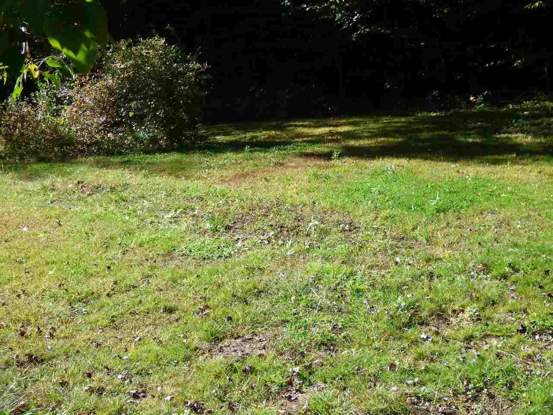 13 Beaverbrook Hill Underhill VT 05489