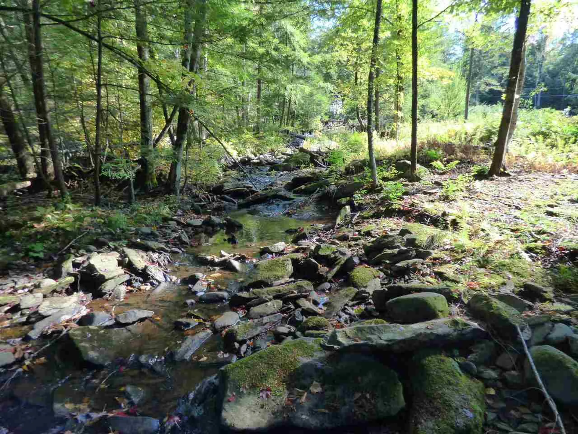 13 Beaverbrook Hill Underhill VT 05489