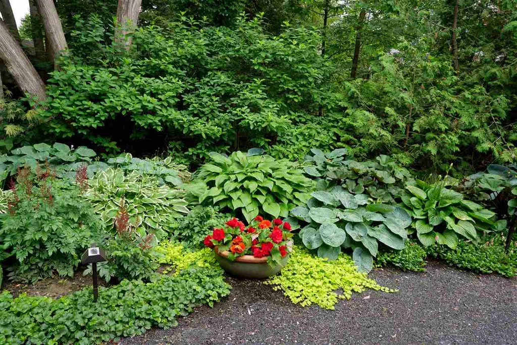 293 Ordway Shore Road Shelburne VT 05482