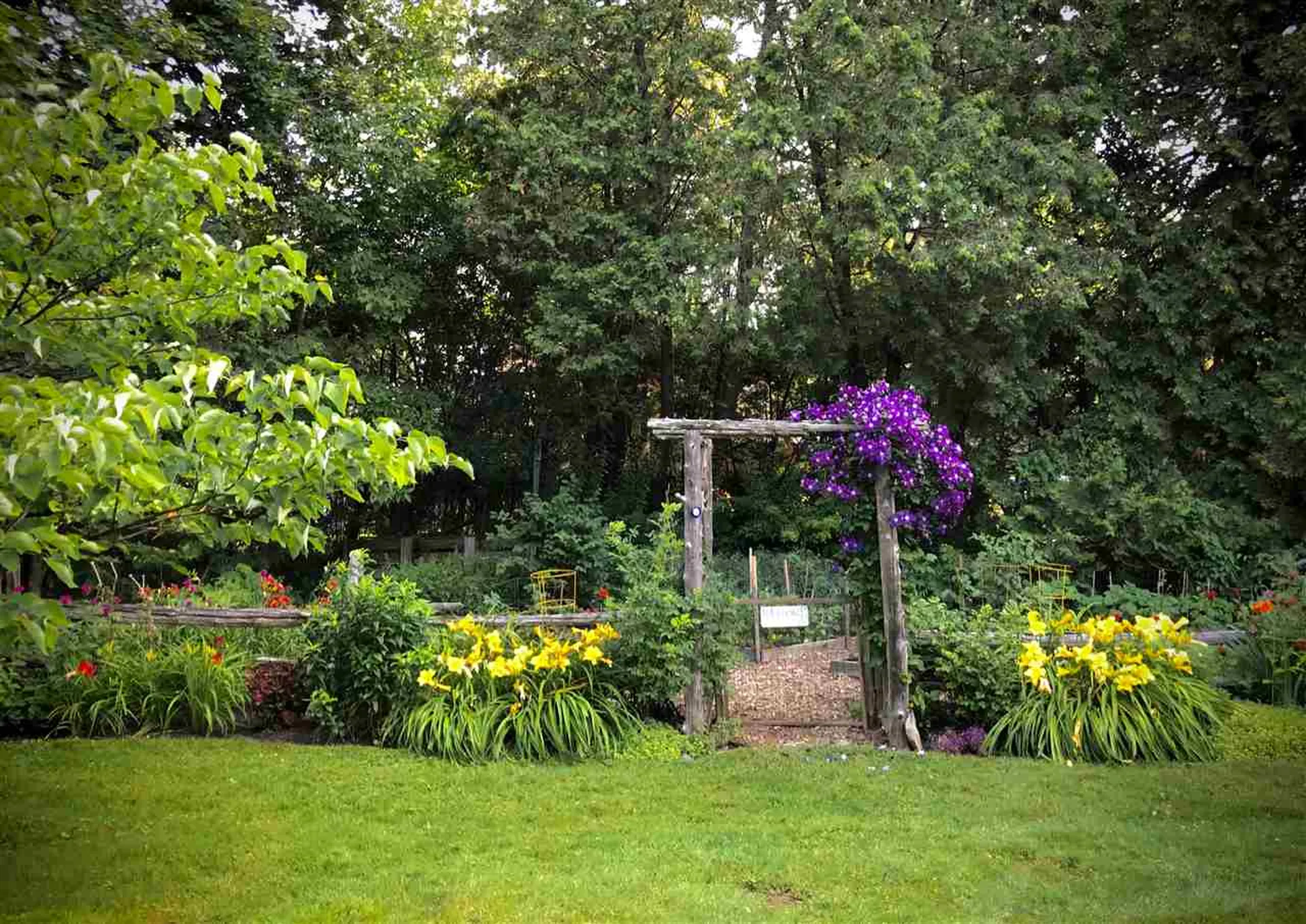 293 Ordway Shore Road Shelburne VT 05482