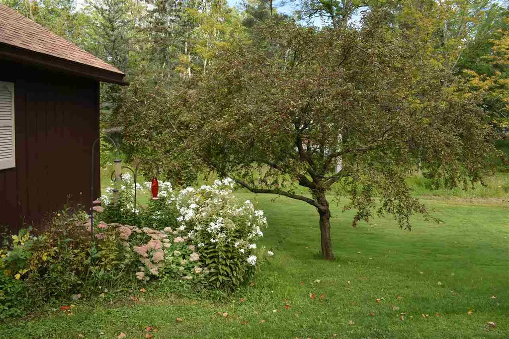 8 Forbes Circle Middlebury VT 05753