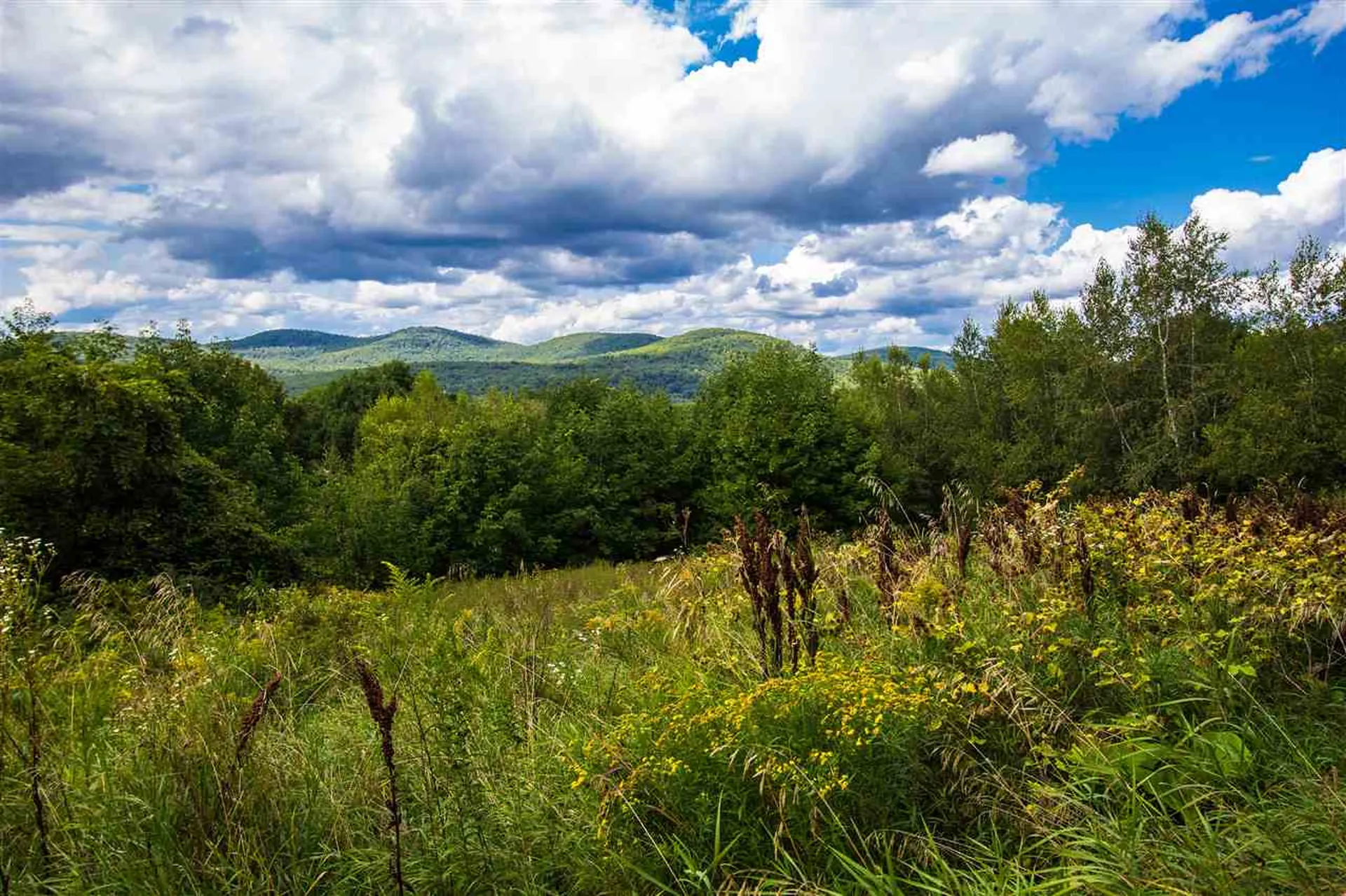 204 Poker Hill Road Underhill VT 05489