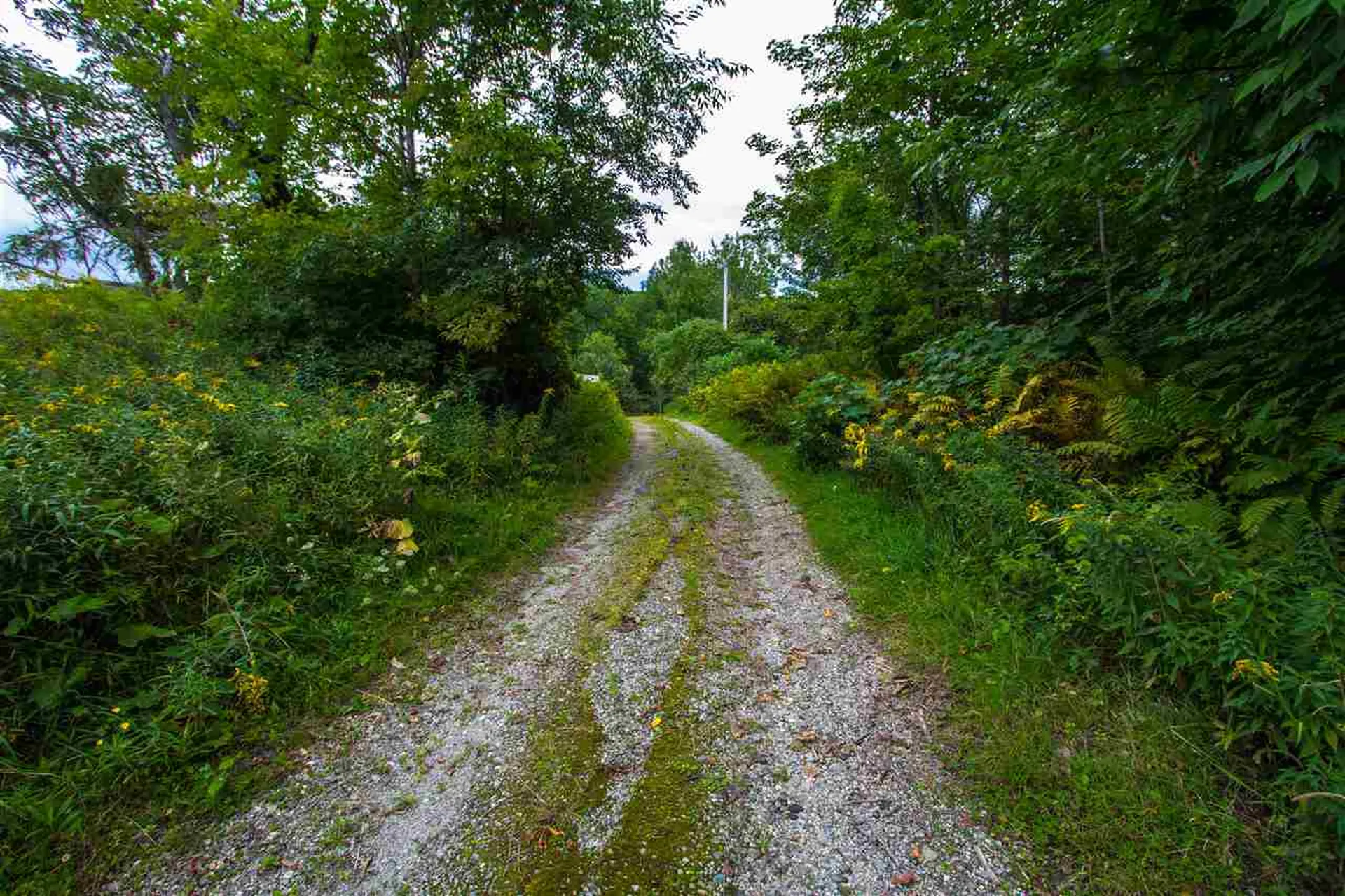 204 Poker Hill Road Underhill VT 05489