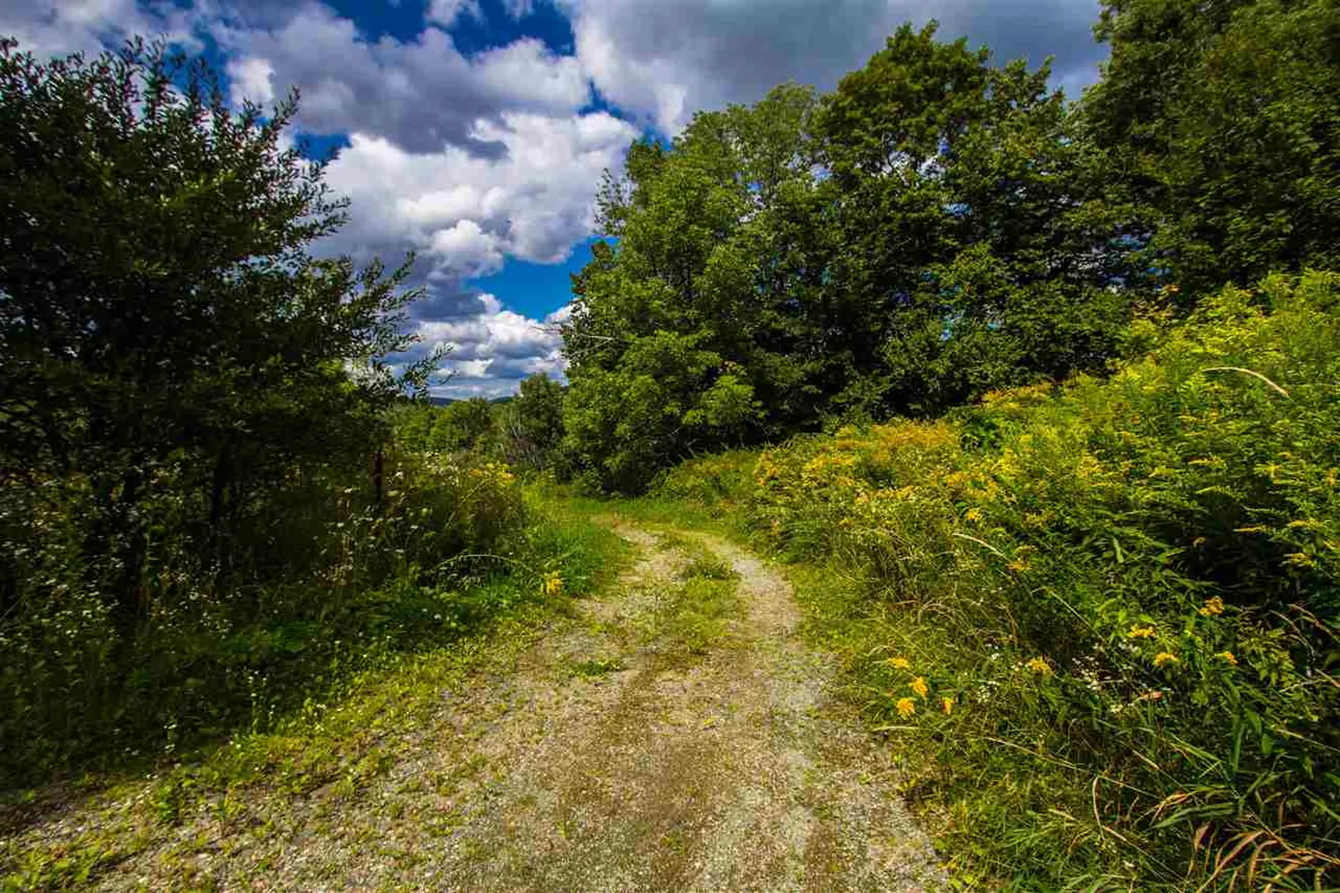 204 Poker Hill Road Underhill VT 05489