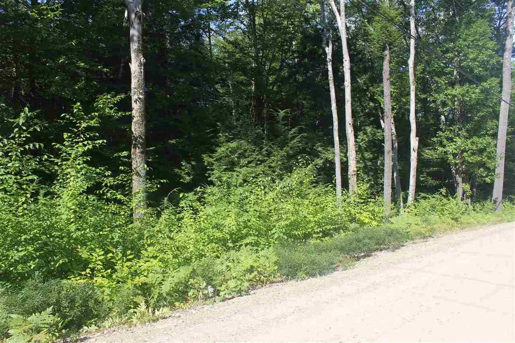 33 Eagle Ledge Road Meredith NH 03253
