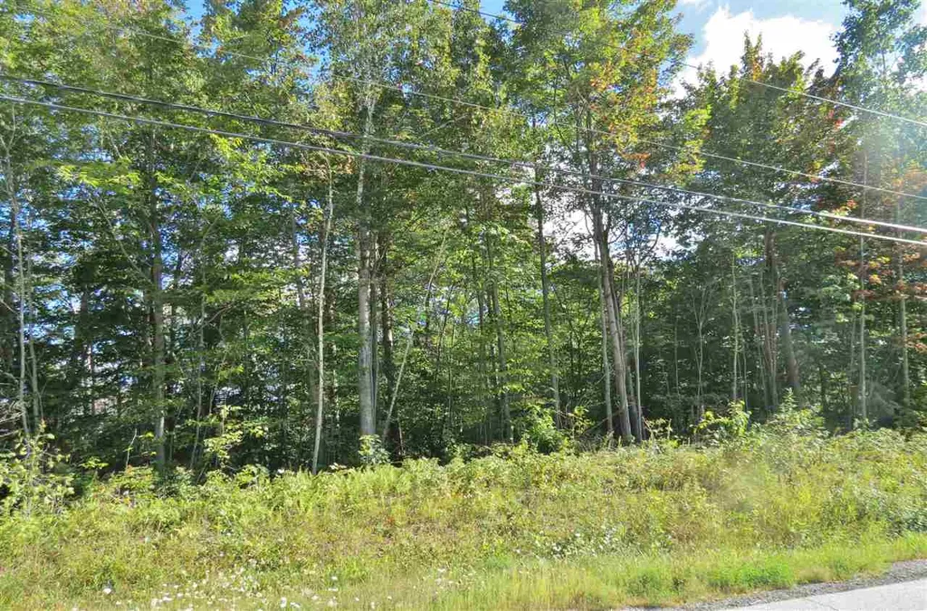 00 Route 100 South Ludlow VT 05149