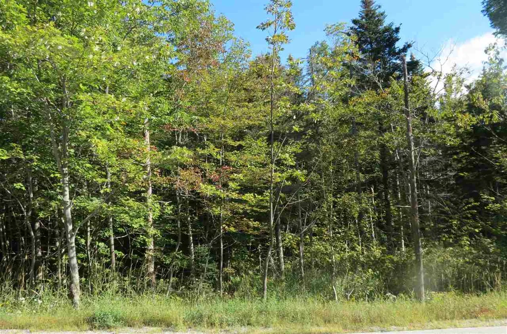 00 Route 100 South Ludlow VT 05149