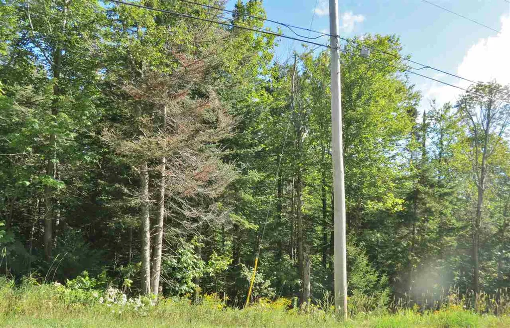00 Route 100 South Ludlow VT 05149