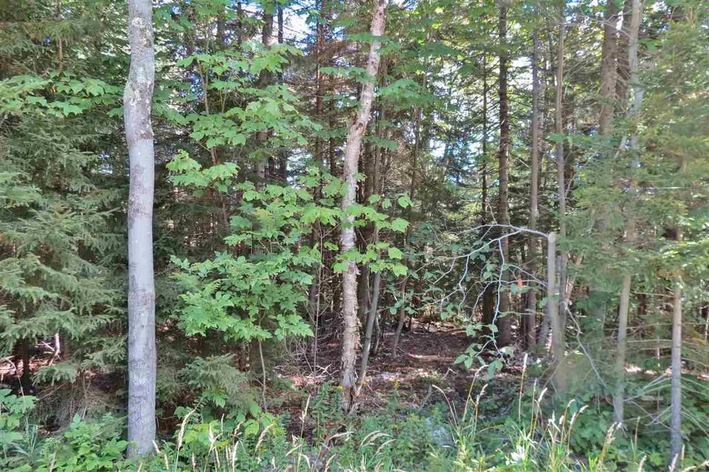 00 Route 100 South Ludlow VT 05149