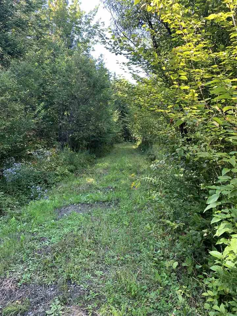 1817 Hopkins Hill Road Hardwick VT 05843