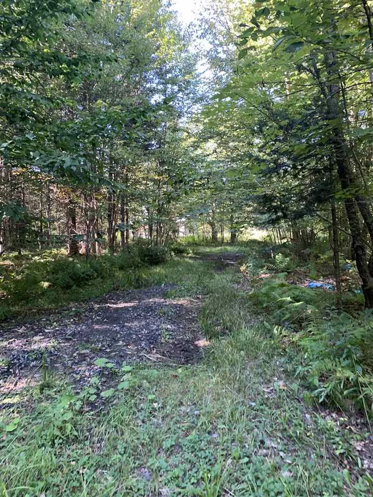 1817 Hopkins Hill Road Hardwick VT 05843