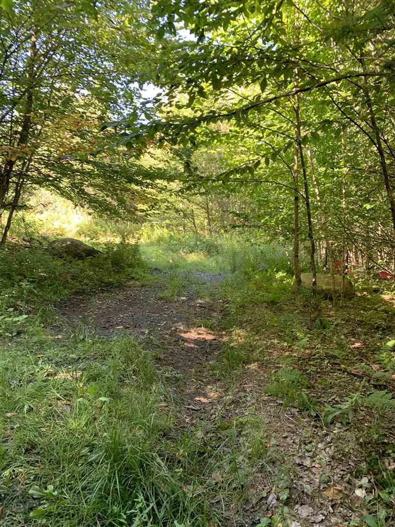 1817 Hopkins Hill Road Hardwick VT 05843